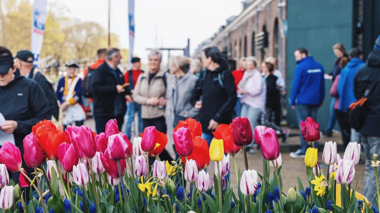 De Halve van Den Helder